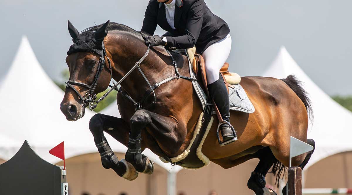 Private Equestrian Client